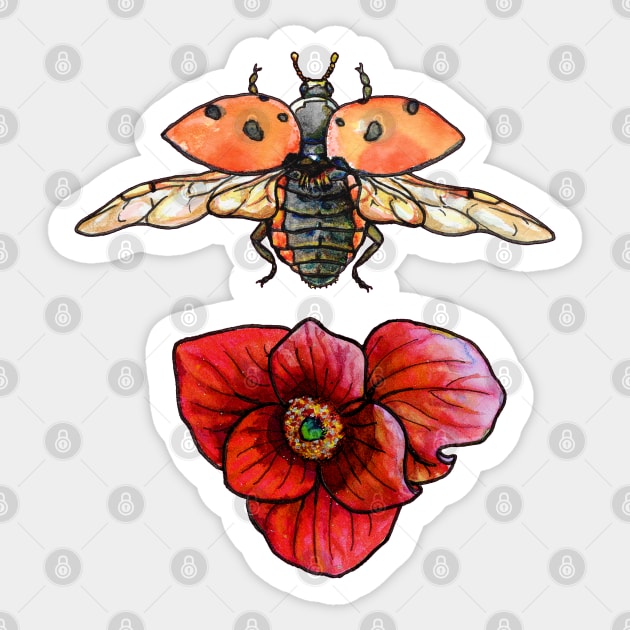 Nine Spotted Lady Beetle and Pawpaw Sticker by ThisIsNotAnImageOfLoss